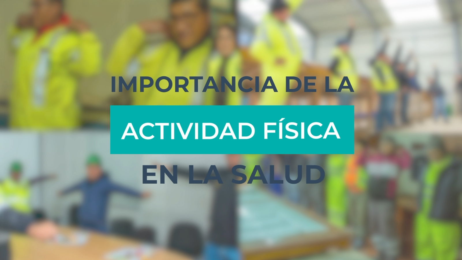Importancia de la Actividad Física - Daniel Suárez